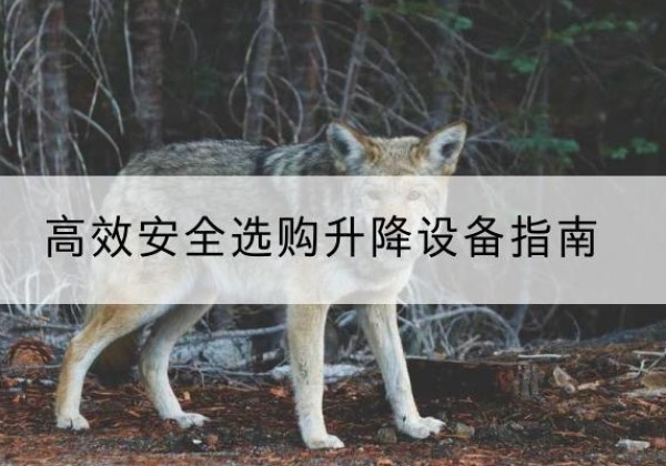 宝山区升降货梯厂家推荐-*安全选购升降设备指南