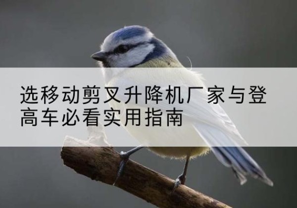 宝山区电动升降机厂家-选移动剪叉升降机厂家与登高车必看实用指南