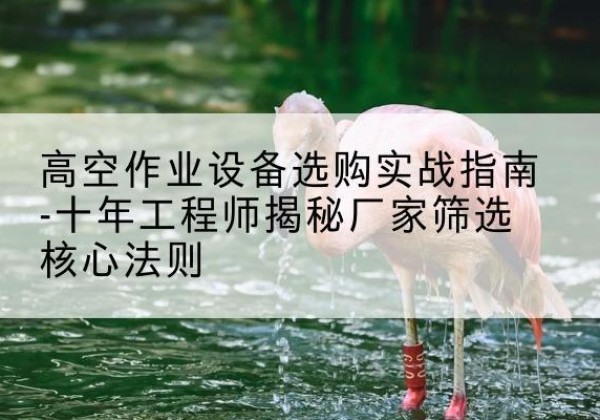 宝山区剪叉式升降机厂家-高空作业设备选购实战指南-十年工程师揭秘厂家筛选核心法则